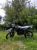    Saimo 300cc 