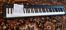   Yamaha 88    